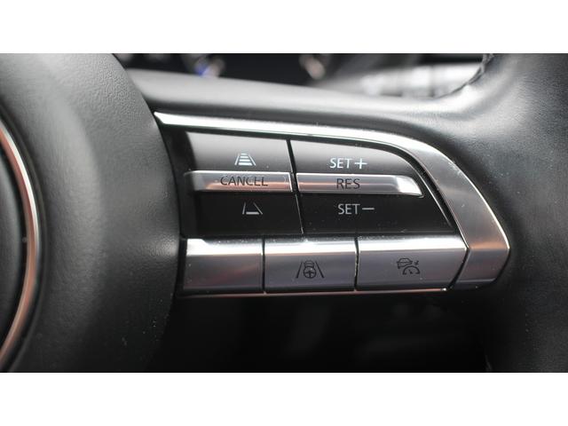 CX-30 X Lパッケージ 純正ナビ 地上デジタル放送 BOSEサウンド ETC シートヒーター 黒革シート パワーバックドア 360度ビューモニター レーダークルーズコントロール LEDヘッドライト レーンキープアシスト(46枚目)