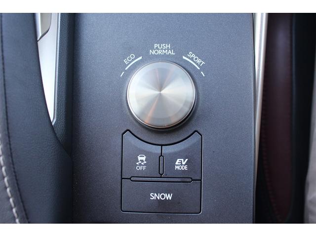 IS IS300h バージョンL サンルーフ 禁煙車 純正ナビ 温冷黒革シート バックカメラ LEDヘッドライト レーダークルーズコントロール 衝突軽減ブレーキ スマートキー プッシュスタート Bluetooth接続(65枚目)
