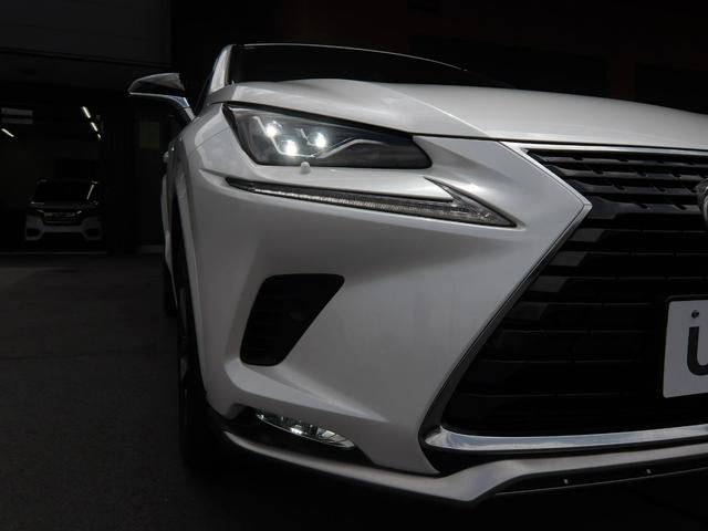 ＮＸ ＮＸ３００スパイス＆シック　ワンオーナー　ナビ　フルセグＴＶ　マルチビューカメラ　ＬＥＤライト　スマートキー　ＥＴＣ　ドラレコ　４ＷＤ　ターボ　パノラミックビューモニター（22枚目）