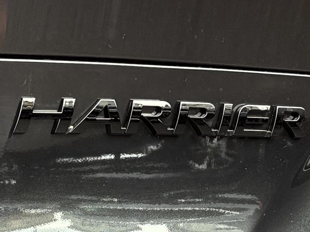 ハリアーハイブリッド Ｚ　レザーパッケージ・ナイトシェード　レザーパッケージ・ナイトシェード　特別仕様車　ブラック内装　調光式パノラマルーフ　パノラミックビューモニター　ＢＳＭ　アクセサリーコンセント　　ブラックホイール　　デジタルインナーミラー　前後ドラレコ（29枚目）