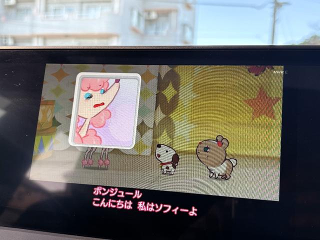 プリウス Ｚ　ユーザー買取車　パノラマルーフ　デジタルインナーミラー　前後方ドライブレコーダー　ディスプレイオーディオｐｌｕｓ　寒冷地仕様　パノラミックビュー　シートベンチレーション　電動トランク　禁煙車（62枚目）