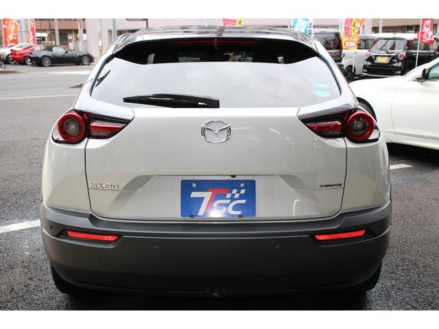 ＭＸ－３０ ベーシックＰＫＧ／インダストリアルクラシック　セーフティＰＫＧ／ベーシックＰＫＧ／エクステリアＰＫＧ／インテリアＰＫＧ（ブラウン内装）／３６０°セーフティＰＫＧ／ユーティリティＰＫＧ／オプションカラー（セラミックメタリック３トーン）／ＥＴＣ（22枚目）