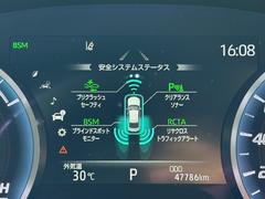 ͷڸ֥졼㳲ʪ󥵡ʤɰ·äƤޤ 6