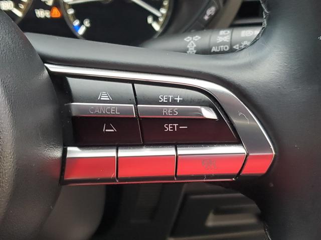 ＭＡＺＤＡ３セダン ２０Ｓプロアクティブ　ナビ　Ｂｌｕｅｔｏｏｔｈ　ＵＳＢ　バックカメラ　ＥＴＣ　クルーズコントロール　コーナーセンサー　オートライト　ＬＥＤヘッドライト　スマートキー　電動格納ミラー　１８インチアルミホイール（30枚目）