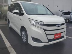 ŹǤ֤򤴹ˡͭݾڡץץˤȡŵȤƥ򴹣ʬ̵åȤ򺹤夲ޤ 4