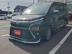 ż֤ݡȥζϽפǤǤŹǤϡͤôڸ뤿ˡȳǤä㤤󶡤Ƥޤ 3