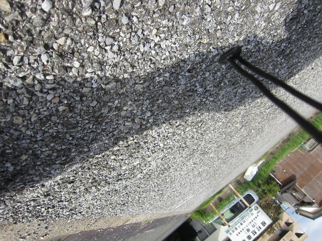 フリード (10枚目)