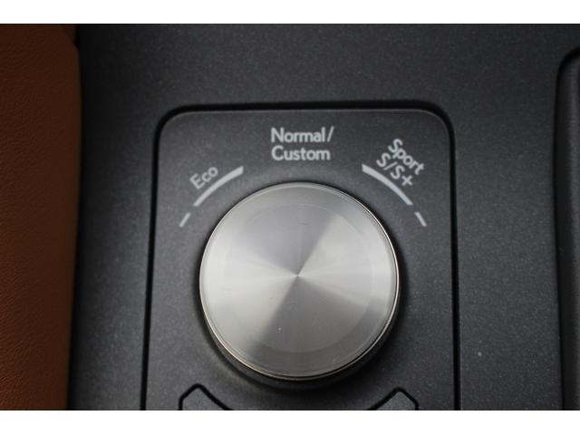 ＲＣ ＲＣ３００　バージョンＬ　ワンオーナー／マークレビンソン／サンルーフ／純正ナビ／地デジ／温冷革シート／三眼ＬＥＤヘッドライト／バックカメラ／ＥＴＣ２．０／アイドリングストップ／衝突軽減ブレーキ／純正アルミホイール／（52枚目）