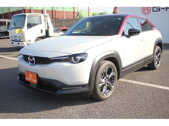 ���Ǝҗl�ւ̔̔��͂��f�肳���Ă��������܂��B�@�Ԍ������ԗ��̏ꍇ�́A�Ԍ����擾�������x�������z�ŕ\�����Ă���܂��B