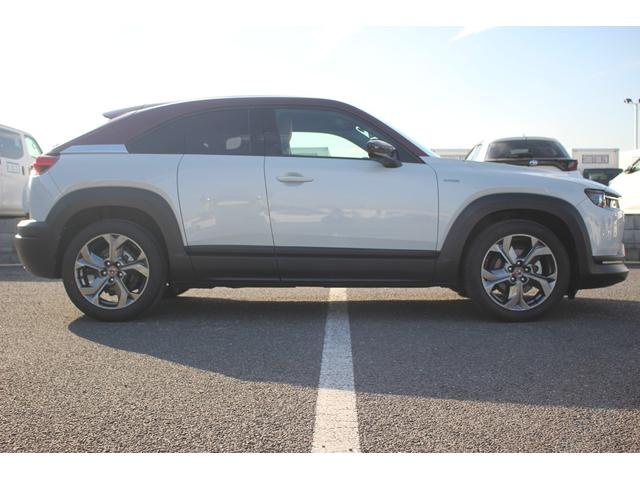 ���Ǝҗl�ւ̔̔��͂��f�肳���Ă��������܂��B�@�Ԍ������ԗ��̏ꍇ�́A�Ԍ����擾�������x�������z�ŕ\�����Ă���܂��B