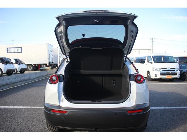 ���Ǝҗl�ւ̔̔��͂��f�肳���Ă��������܂��B�@�Ԍ������ԗ��̏ꍇ�́A�Ԍ����擾�������x�������z�ŕ\�����Ă���܂��B