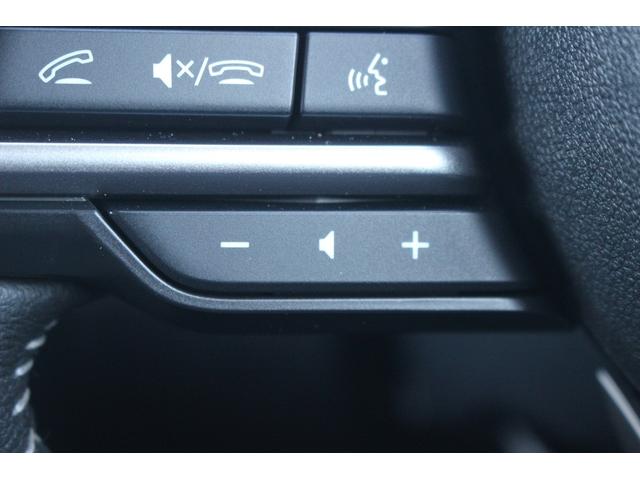 クロストレック ツーリング　禁煙車　純正１１．６型ディスプレイオーディオ　全周囲カメラ　フルセグＴＶ　レーダークルーズコントロール　純正１７インチアルミホイール　ＥＴＣ　ＬＥＤヘッドライト　衝突軽減ブレーキ　パワーシート（51枚目）