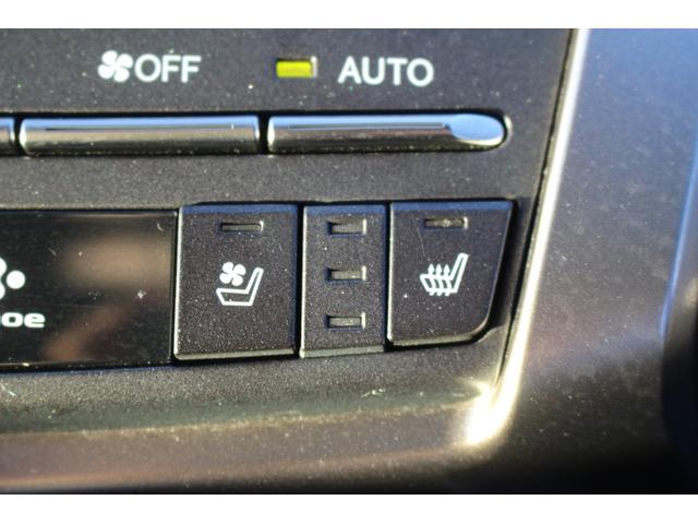 ＮＸ ＮＸ３００ｈ　Ｆスポーツ　後期型　禁煙車　純正１０．３インチナビ　三眼ＬＥＤヘッドライト　フルセグＴＶ　全周囲カメラ　温冷黒革シート　ブラインドスポットモニター　ＥＴＣ２．０　レーダークルーズコントロール　電動リアゲート（10枚目）