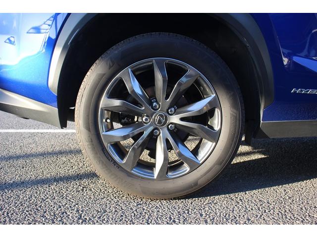 ＮＸ ＮＸ３００ｈ　Ｆスポーツ　後期型　禁煙車　純正１０．３インチナビ　三眼ＬＥＤヘッドライト　フルセグＴＶ　全周囲カメラ　温冷黒革シート　ブラインドスポットモニター　ＥＴＣ２．０　レーダークルーズコントロール　電動リアゲート（22枚目）