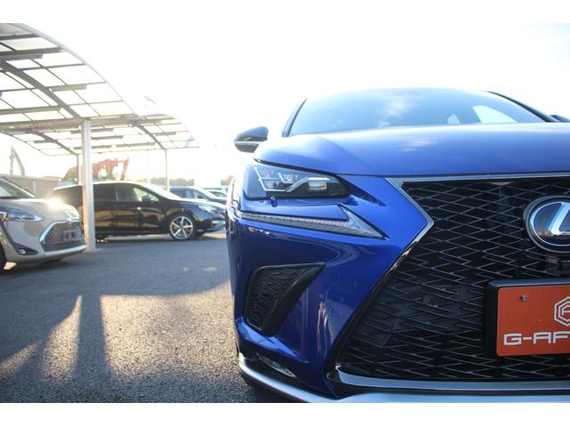 ＮＸ ＮＸ３００ｈ　Ｆスポーツ　後期型　禁煙車　純正１０．３インチナビ　三眼ＬＥＤヘッドライト　フルセグＴＶ　全周囲カメラ　温冷黒革シート　ブラインドスポットモニター　ＥＴＣ２．０　レーダークルーズコントロール　電動リアゲート（25枚目）