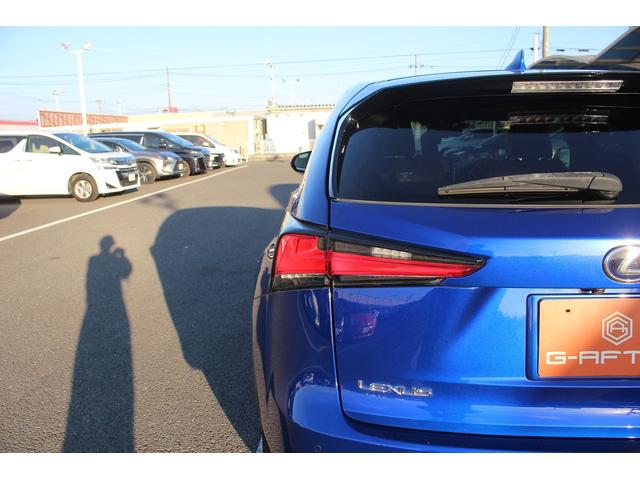 ＮＸ ＮＸ３００ｈ　Ｆスポーツ　後期型　禁煙車　純正１０．３インチナビ　三眼ＬＥＤヘッドライト　フルセグＴＶ　全周囲カメラ　温冷黒革シート　ブラインドスポットモニター　ＥＴＣ２．０　レーダークルーズコントロール　電動リアゲート（29枚目）