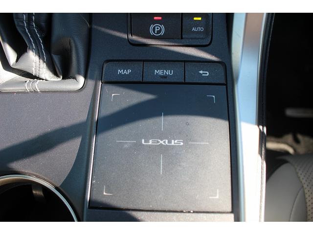 ＮＸ ＮＸ３００ｈ　バージョンＬ　禁煙車　１オーナー　純正１０．３インチナビ　フルセグＴＶ　全周囲カメラ　白革シート　電動リアゲート　レーダークルーズコントロール　ＥＴＣ２．０　ＬＥＤヘッドライト　オプション１８インチアルミホイール（59枚目）