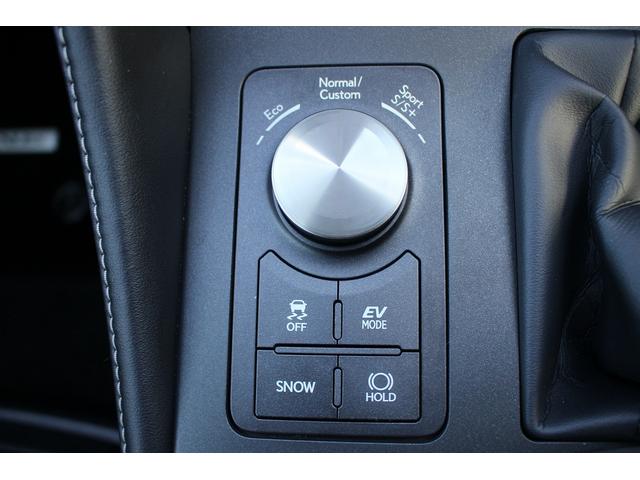 ＲＣ ＲＣ３００ｈ　禁煙車　純正１０．２５インチナビ　フルセグＴＶ　プレミアムサウンドシステム　バックカメラ　黒革シート　レーダークルーズコントロール　ＥＴＣ２．０　シートヒーター　純正１８インチアルミホイール（47枚目）