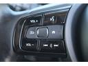 アドバンス　禁煙車　純正７型ワイドナビ　フルセグＴＶ　全周囲カメラ　純正１７インチアルミホイール　衝突軽減ブレーキシステム　ガラスルーフ　ＥＴＣ　シートヒーター　レーダークルーズコントロール　ＬＥＤヘッドライト（55枚目）