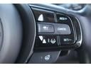 アドバンス　禁煙車　純正７型ワイドナビ　フルセグＴＶ　全周囲カメラ　純正１７インチアルミホイール　衝突軽減ブレーキシステム　ガラスルーフ　ＥＴＣ　シートヒーター　レーダークルーズコントロール　ＬＥＤヘッドライト（56枚目）
