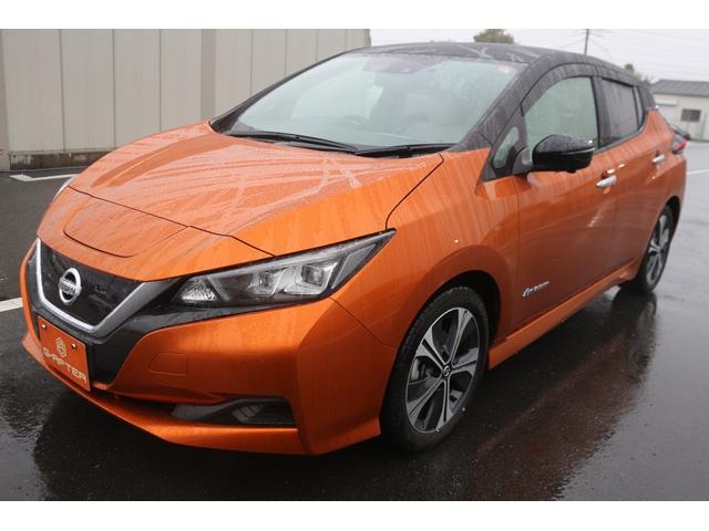 リーフ X Vセレクション ワンオーナー ツートンルーフ 純正9型ナビ フルセグ オプションボディカラー アラウンドビューモニター プロパイロット 前席シートヒーター ステアリングヒーター 純正17インチAW LEDヘッドランプ(15枚目)