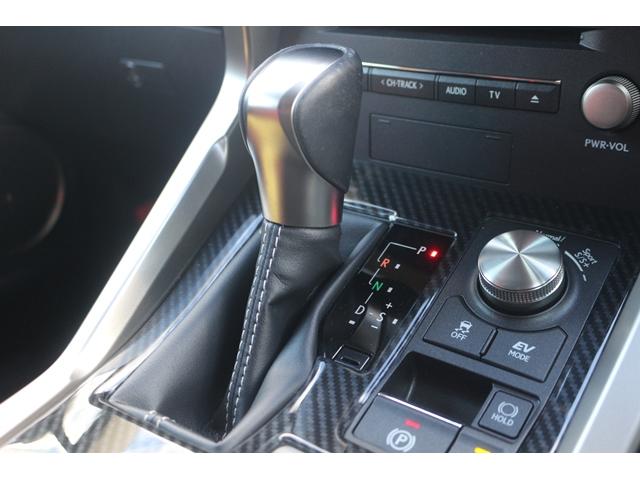 ＮＸ ＮＸ３００ｈ　バージョンＬ　禁煙車　純正１０．３インチナビ　フルセグ　全周囲カメラ　赤・茶革シート　ブラインドスポットモニター　３眼ヘッドライト　シートエアコン　シートヒーター　衝突軽減　レーダークルーズ　ＢＴ接続　ＥＴＣ（61枚目）