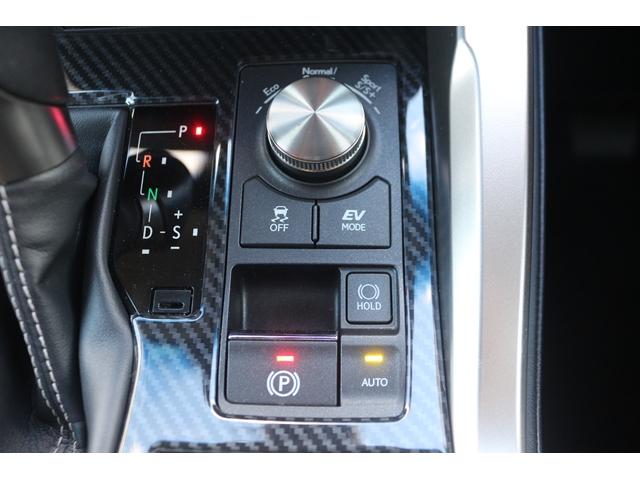 ＮＸ ＮＸ３００ｈ　バージョンＬ　禁煙車　純正１０．３インチナビ　フルセグ　全周囲カメラ　赤・茶革シート　ブラインドスポットモニター　３眼ヘッドライト　シートエアコン　シートヒーター　衝突軽減　レーダークルーズ　ＢＴ接続　ＥＴＣ（62枚目）