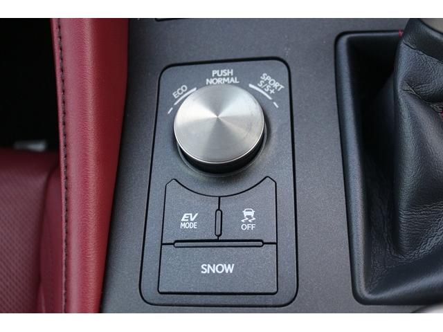 RC RC300h Fスポーツ 禁煙車 サンルーフ OP角型3眼LEDヘッドライト 赤革シート メーカーナビ フルセグ バックカメラ ベンチレーション シートヒーター ブラインドスポットモニター レ-ダ-クル-ズコントロ-ル ETC(57枚目)