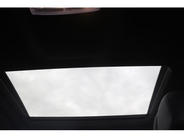 X6 xDrive 35i Mスポーツ サンルーフ 黒革シート 純正ナビ フルセグTV バックカメラ レーダークルーズコントロール クリアランスソナー 温冷シート レーンキープアシスト LEDヘッドライト 衝突軽減ブレーキ アイドリング(60枚目)