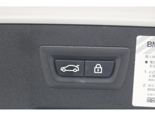 X6 xDrive 35i Mスポーツ サンルーフ 黒革シート 純正ナビ フルセグTV バックカメラ レーダークルーズコントロール クリアランスソナー 温冷シート レーンキープアシスト LEDヘッドライト 衝突軽減ブレーキ アイドリング(64枚目)