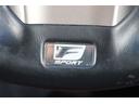 ＧＳ３００ｈ　Ｆスポーツ　赤革シート／純正ナビ／地デジ／バックカメラ／衝突軽減／レーダークルーズ／温冷シート／パワーシート（47枚目）