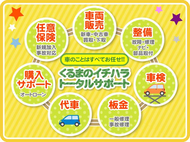 X SAIII 届出済未使用車 LEDライト スマキー(34枚目)