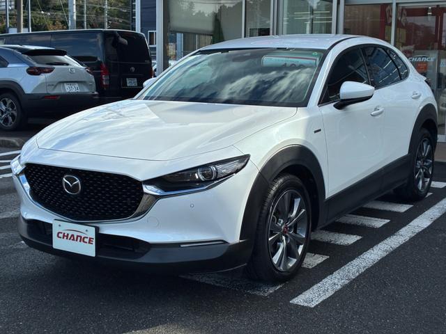 CX-30 20S 100周年特別記念車 衝突軽減ブレーキ ブラインドスポット フロアマット フルセグ CD DVd BT接続 USB HDMI バックカメラ ETC コーナーセンサー ドラレコFR シートヒーターLR 純正アルミホイール(60枚目)