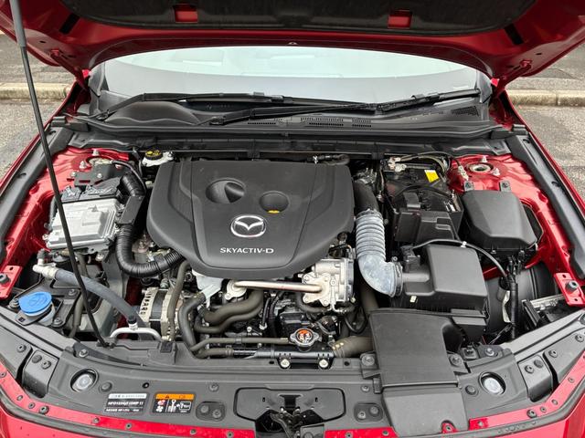 �����̔������łȂ��A�����A���A�ی������ԂɊւ��邱�Ƃɂ����ăo�b�N�A�b�v�����Ă��������܂�����