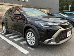 죱ŹŸǤ󥹻ͳƻŹԣţ̡ݣݣ礻ԤƤޤ 5