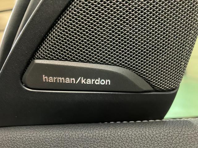X4 xDrive 30i Mスポーツ ドライビングアシストプラス パーキングアシストプラス サンルーフ harman/kardon アダプティブLEDヘッドライト HUD 本革シート 前後シートヒーター ランクリッドスマートオープナー(5枚目)