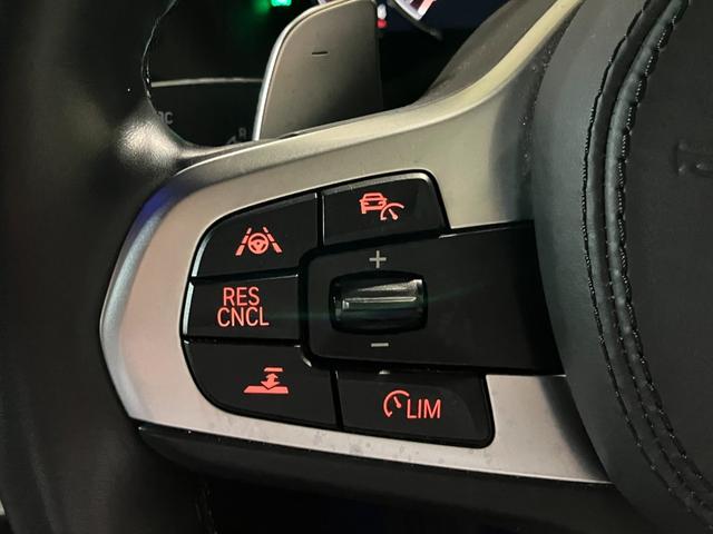 X4 xDrive 30i Mスポーツ ドライビングアシストプラス パーキングアシストプラス サンルーフ harman/kardon アダプティブLEDヘッドライト HUD 本革シート 前後シートヒーター ランクリッドスマートオープナー(32枚目)