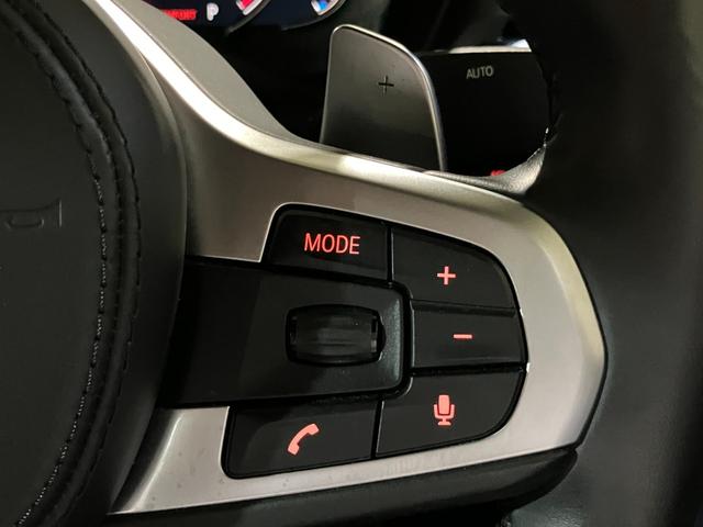 X4 xDrive 30i Mスポーツ ドライビングアシストプラス パーキングアシストプラス サンルーフ harman/kardon アダプティブLEDヘッドライト HUD 本革シート 前後シートヒーター ランクリッドスマートオープナー(33枚目)