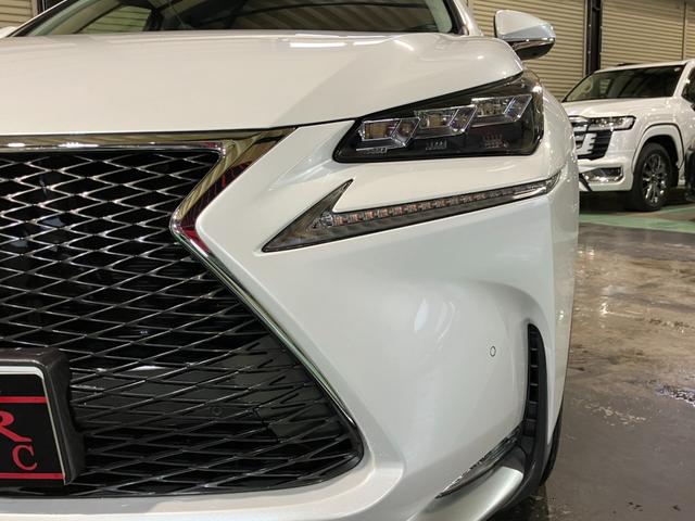 NX  本革シート 純正ナビ バックモニター フルセグ 三眼LEDヘッドライト パワーバックドア シート&ステアリングヒーター クルコン パワーシート 純正18インチアルミ(34枚目)