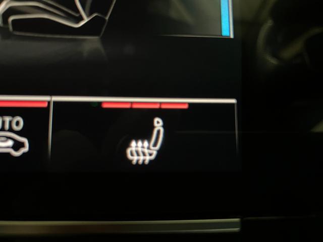 Ａ６アバント ４０ＴＤＩクワトロ　スポーツ　Ｓラインパッケージ　本革シート　マトリクスＬＥＤヘッドライト　サラウンドビュー　パークアシストプラス　バーチャルコックピットプラス　オートテールゲート　シートヒーター　パワーシート　レーダークルコン（14枚目）