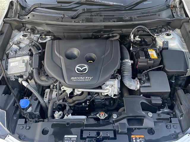 ＣＸ－３ ＸＤ　ツーリング　Ｌパッケージ　純正ＳＤナビ　フルセグＴＶ　ＤＶＤ再生　Ｂｌｕｅｔｏｏｔｈ　バックカメラ　Ｓヒーター　ＡＣＣ　レーンアシスト　ＳＣＢＳ　スマートキー　プッシュスタート　純正ＬＥＤヘッドライト　純正１６インチＡＷ（39枚目）