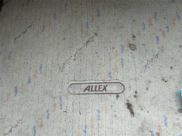 アレックス ＸＳ１８０（23枚目）