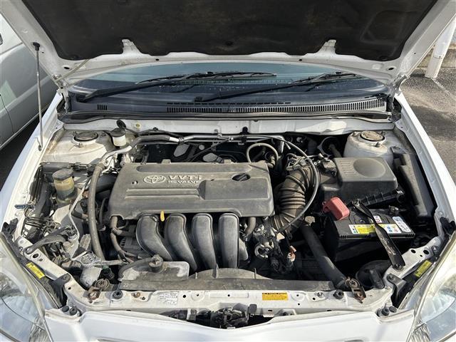 アレックス ＸＳ１８０（37枚目）