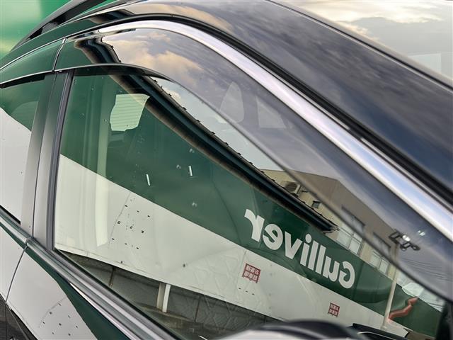 ＲＡＶ４ アドベンチャー　オフロードパッケージ　４ＷＤ／衝突軽減ブレーキ／社外ＳＤナビ／フルセグＴＶ／バックカメラ／ＬＥＤヘッドライト／ＥＴＣ／ＡＡＣ／パワーシート／純正１８インチＡＷ（35枚目）