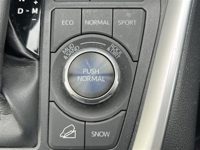 ＲＡＶ４ アドベンチャー　オフロードパッケージ　トヨタセーフティセンス　純正ナビ　ビルトインＥＴＣ　前後ドラレコ　バックカメラ　寒冷地仕様　ステアリングヒーター　デジタルインナーミラー　電子パーキング　オートブレーキホールド　ＢＳＭ　オートライト（14枚目）