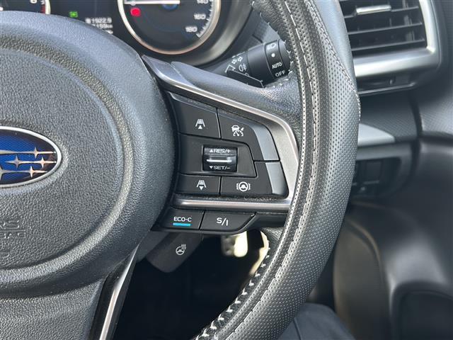 フォレスター アドバンス　純正ナビ　フルセグＴＶ　ＣＤ／ＤＶＤ　Ｂｌｕｅｔｏｏｔｈ　ＥＴＣ　バックカメラ　サイドカメラ　レダークルーズコントロール　全席シートヒーター　ステアリングヒーター　アイサイト（6枚目）