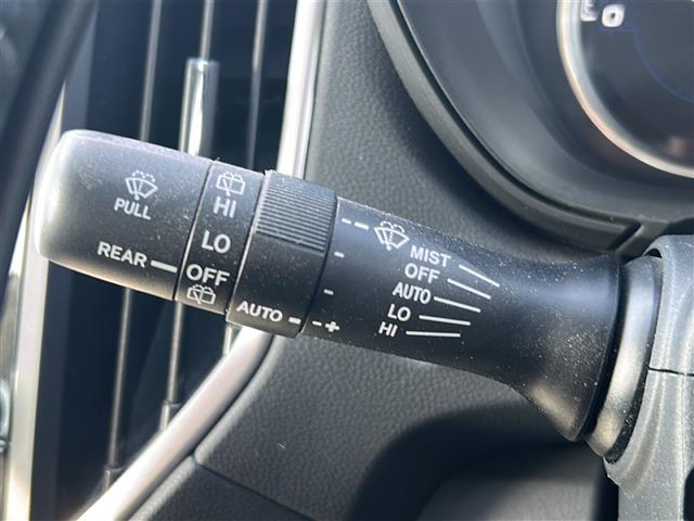 フォレスター アドバンス　純正ナビ　フルセグＴＶ　ＣＤ／ＤＶＤ　Ｂｌｕｅｔｏｏｔｈ　ＥＴＣ　バックカメラ　サイドカメラ　レダークルーズコントロール　全席シートヒーター　ステアリングヒーター　アイサイト（7枚目）