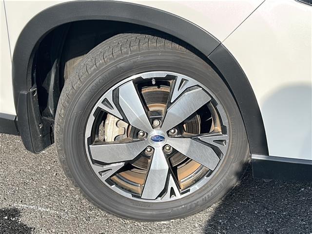 フォレスター アドバンス　純正ナビ　フルセグＴＶ　ＣＤ／ＤＶＤ　Ｂｌｕｅｔｏｏｔｈ　ＥＴＣ　バックカメラ　サイドカメラ　レダークルーズコントロール　全席シートヒーター　ステアリングヒーター　アイサイト（41枚目）
