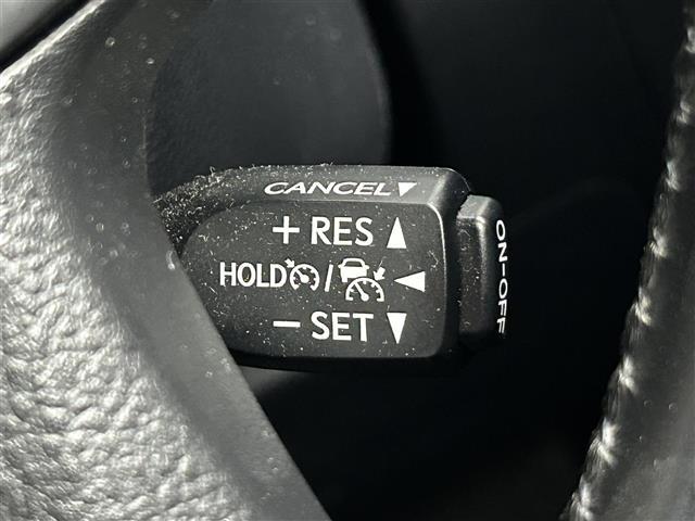 アルファード ２．５Ｓ　タイプゴールド　純正ナビ　ＣＤ　ＤＶＤ　フルセグ　モデリスタエアロ　サンルーフ　電子パーキング　衝突軽減ブレーキ　パワーバックドア　フリップダウンモニター　ＢＳＭ　デジタルインナーミラー　バックカメラ　ＥＴＣ（10枚目）