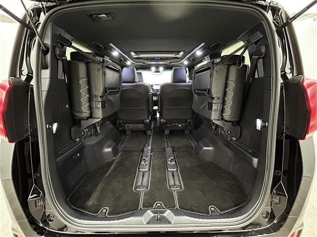 アルファード ２．５Ｓ　タイプゴールド　純正ナビ　ＣＤ　ＤＶＤ　フルセグ　モデリスタエアロ　サンルーフ　電子パーキング　衝突軽減ブレーキ　パワーバックドア　フリップダウンモニター　ＢＳＭ　デジタルインナーミラー　バックカメラ　ＥＴＣ（30枚目）